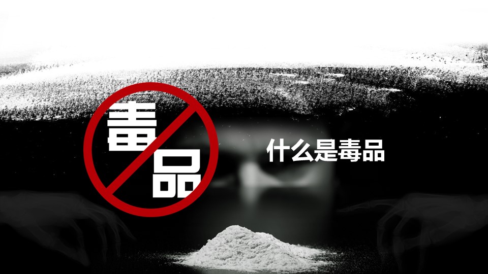 国际禁毒日班会ppt模板