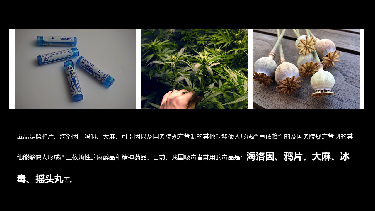 国际禁毒日宣传ppt模板