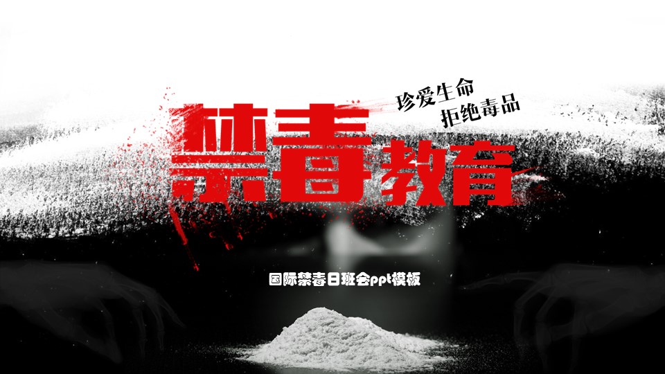 国际禁毒日班会ppt模板