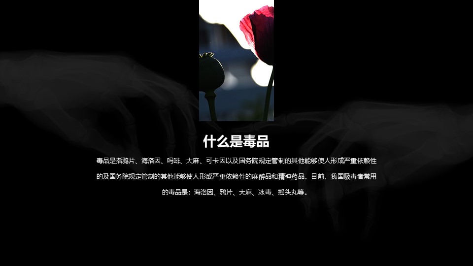 国际禁毒日班会ppt模板