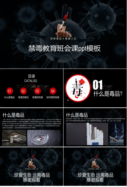 禁毒教育班会课ppt模板