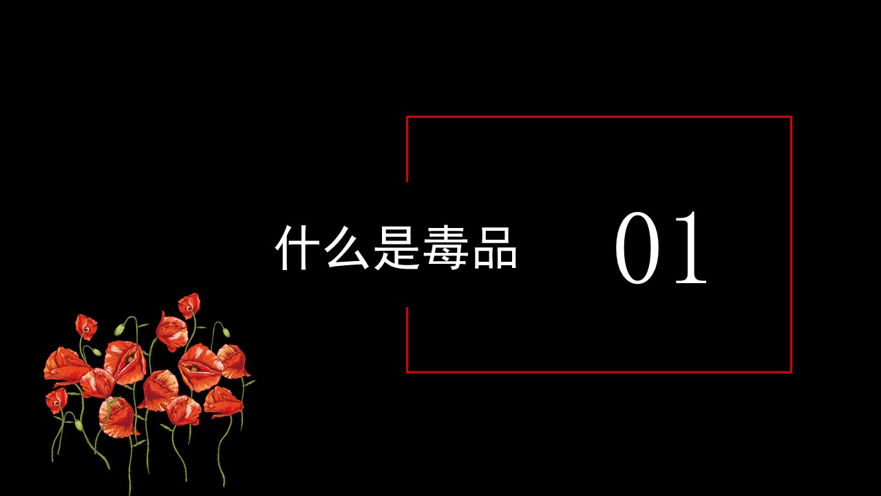 国际禁毒日宣传ppt模板