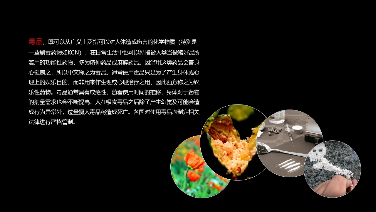 国际禁毒日宣传ppt模板