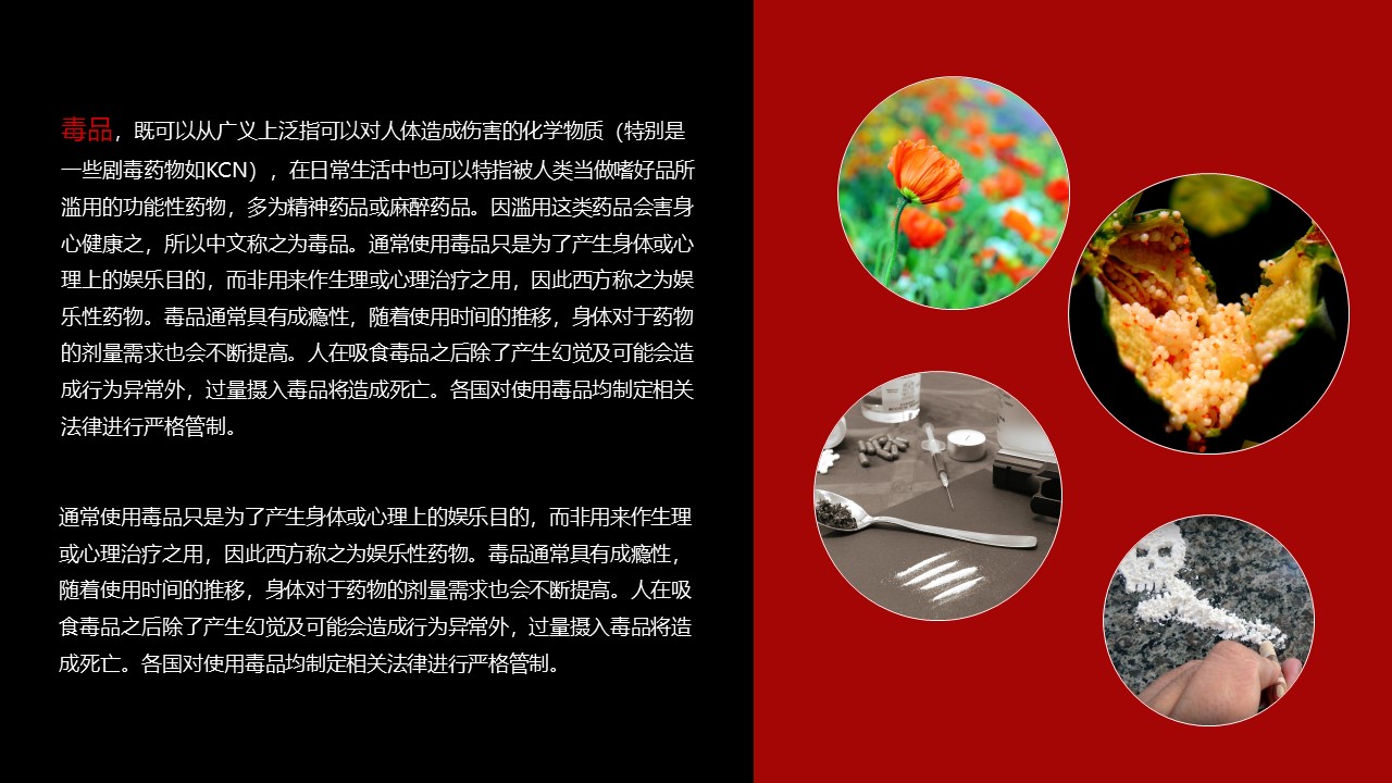 禁毒知识宣传资料ppt模板
