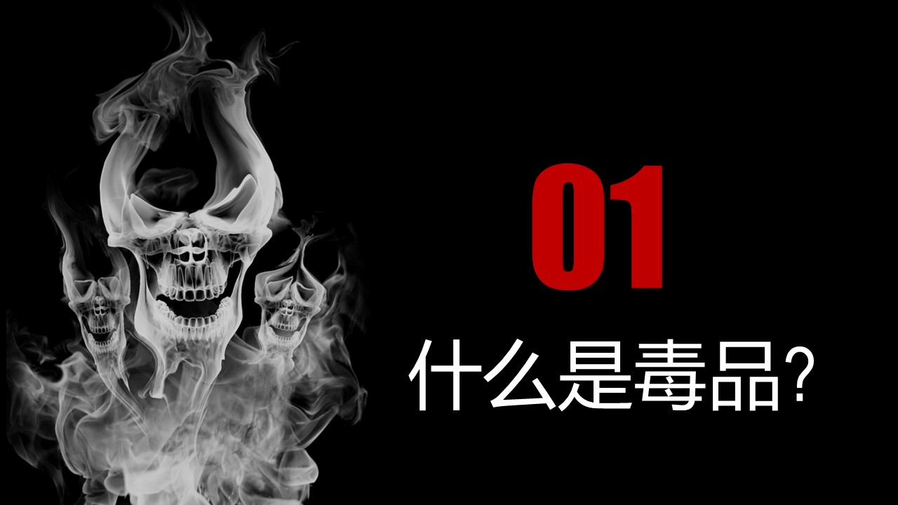 禁毒普法知识讲座ppt模板