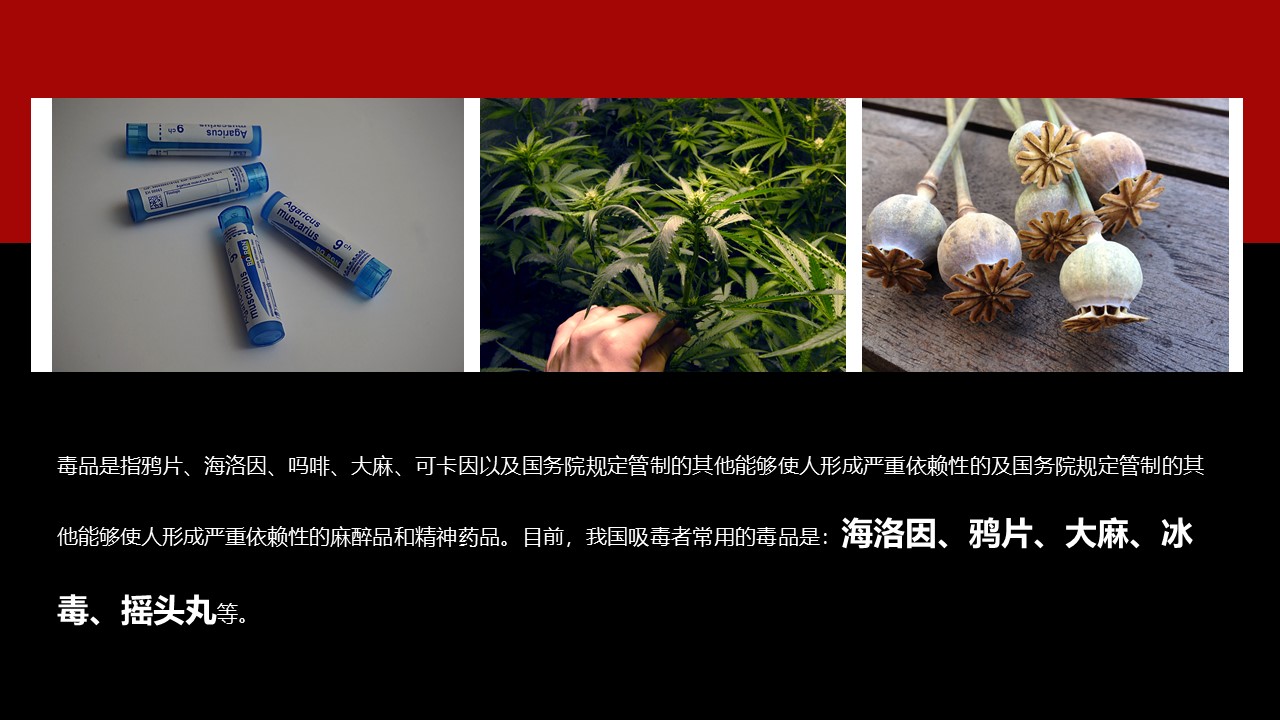 禁毒知识宣传资料ppt模板