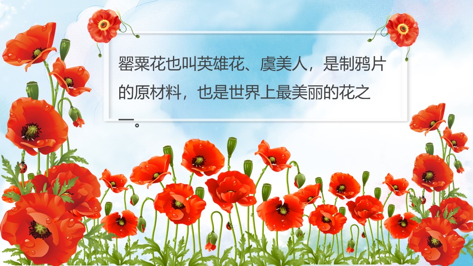 校园禁毒知识宣传ppt模板