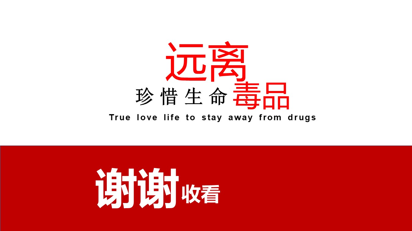 禁毒知识法治课ppt模板