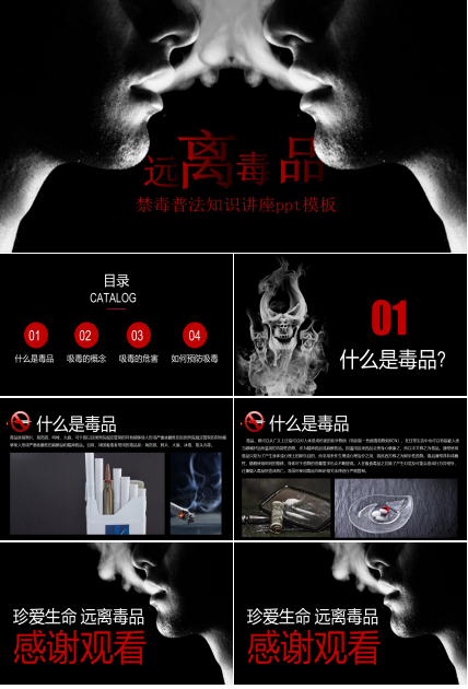 禁毒普法知识讲座ppt模板