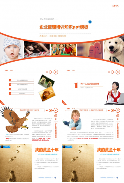 企业管理培训知识ppt模板