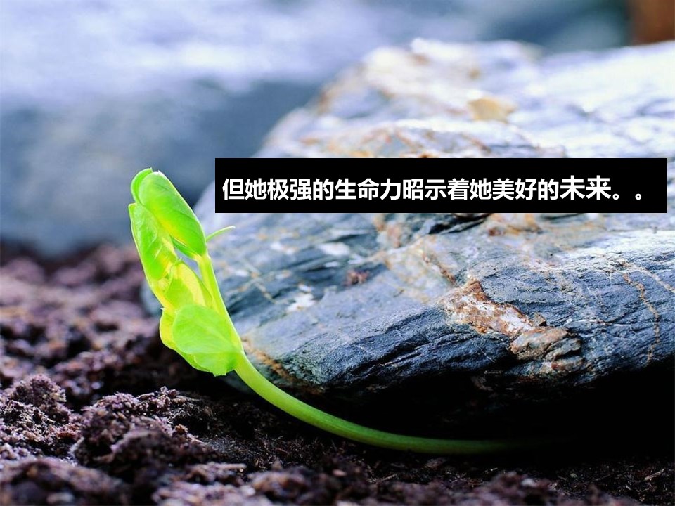 企业入职it培训ppt模板