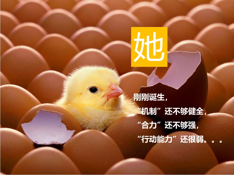 企业入职it培训ppt模板