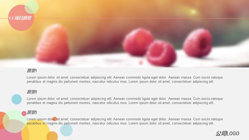 清爽商务计划书ppt模板