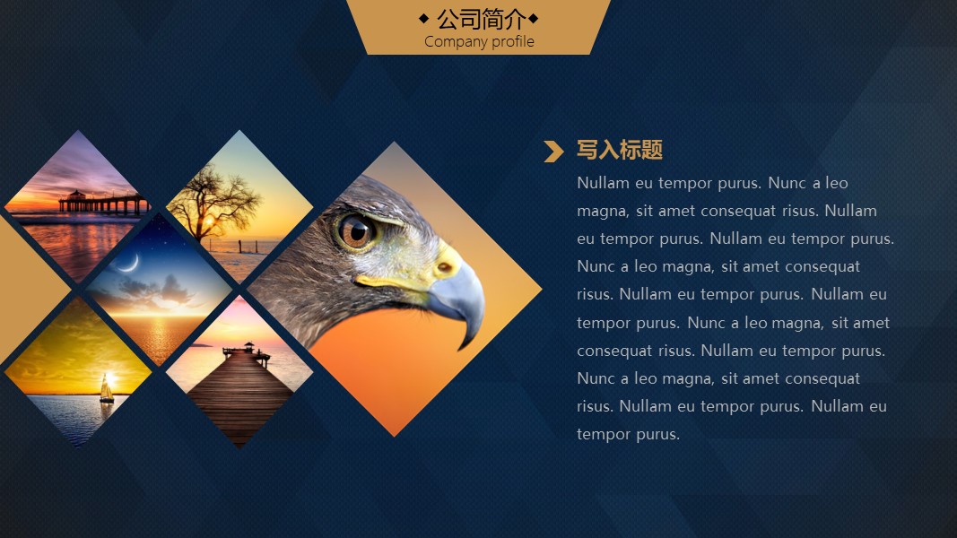 项目创业融资计划书ppt模板