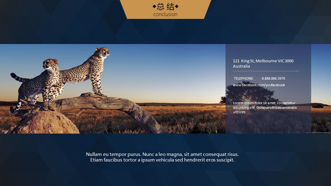 项目创业融资计划书ppt模板