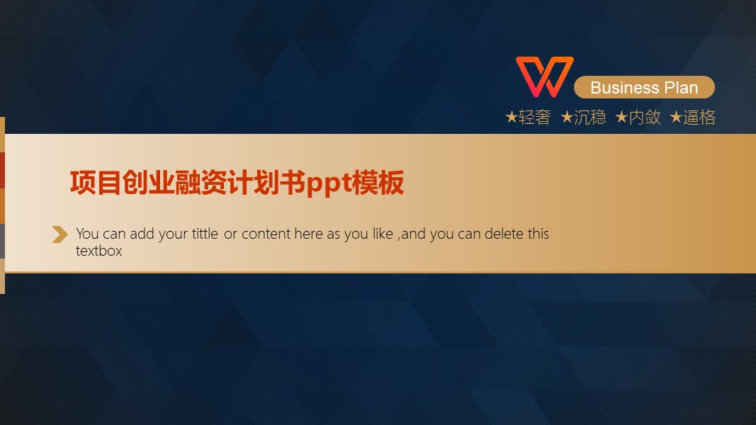 项目创业融资计划书ppt模板