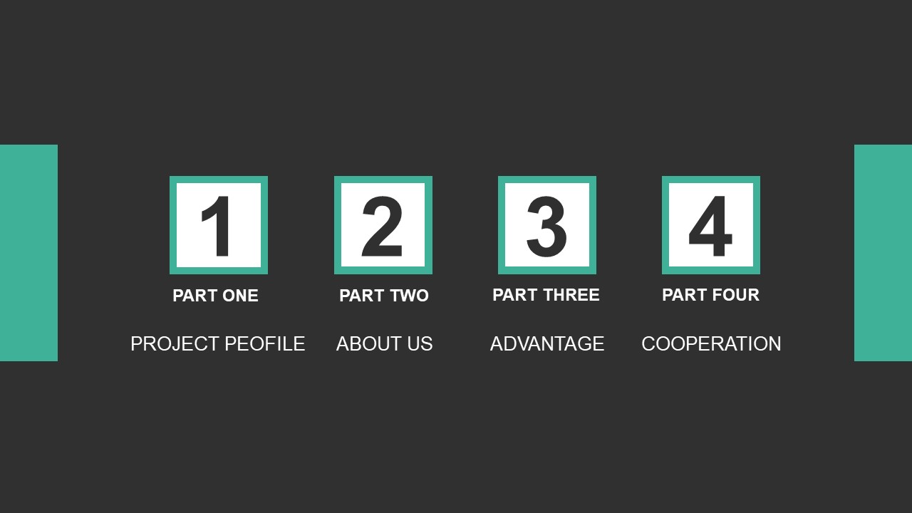 项目招商融资计划书ppt模板