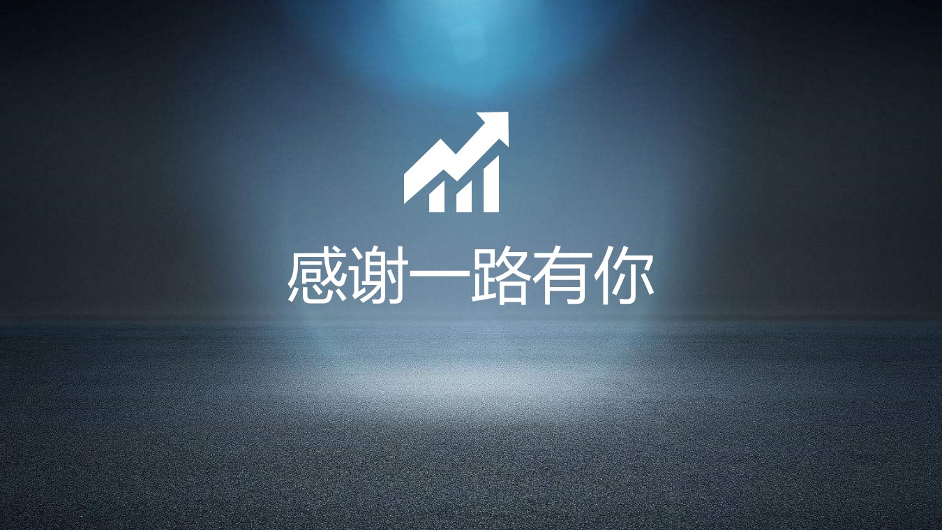 年度财务业绩报告ppt模板