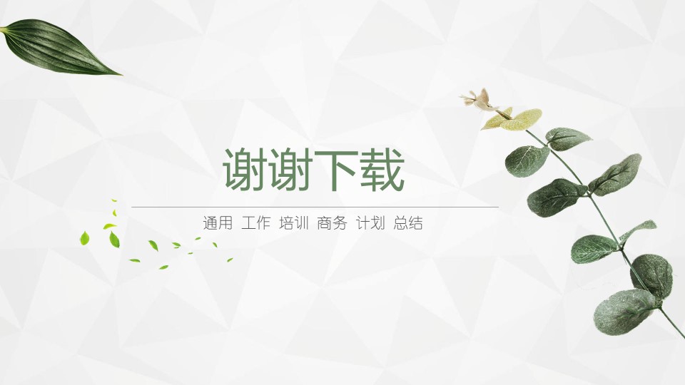 舞蹈学校招生方案ppt模板