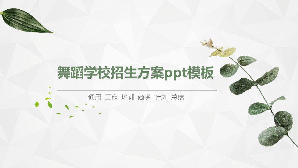 舞蹈学校招生方案ppt模板