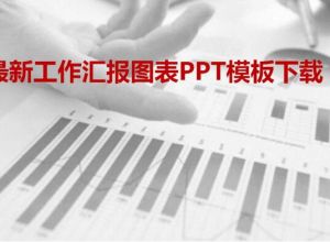 最新工作汇报图表PPT模板下载
