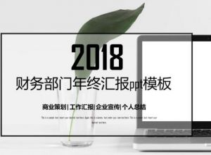 财务部门年终汇报ppt模板