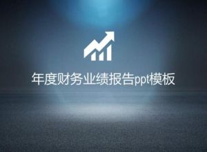 年度财务业绩报告ppt模板