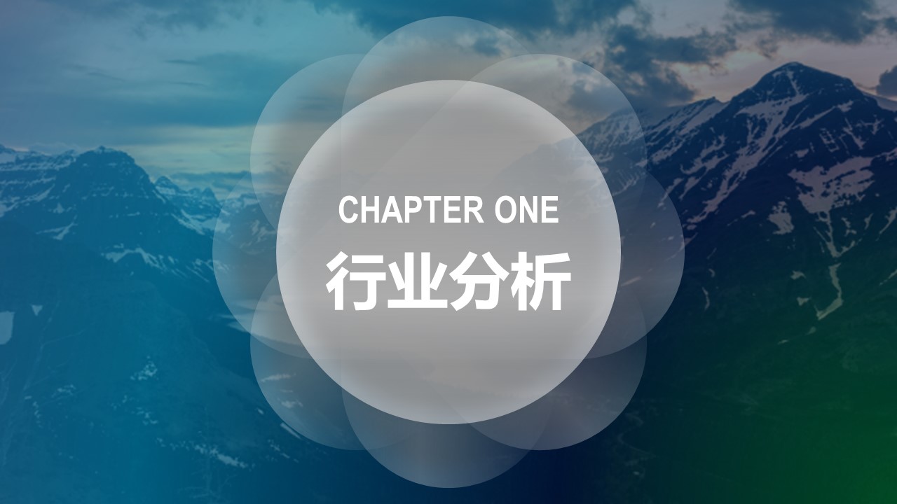 风险投资项目计划书ppt模板