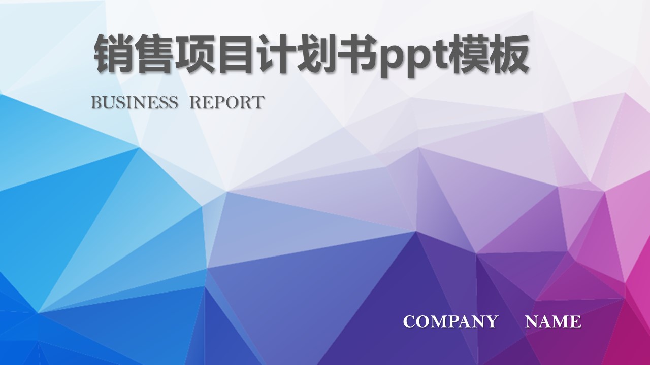 销售项目计划书ppt模板