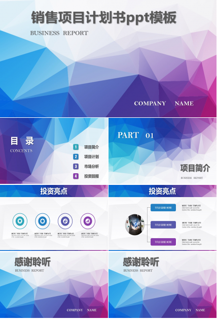 销售项目计划书ppt模板