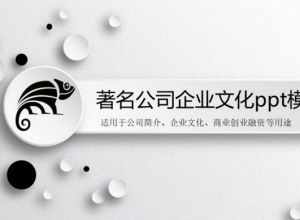 著名公司企业文化ppt模板