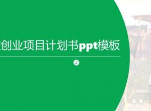 公益创业项目计划书ppt模板