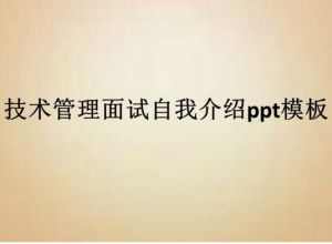 技术管理面试自我介绍ppt模板