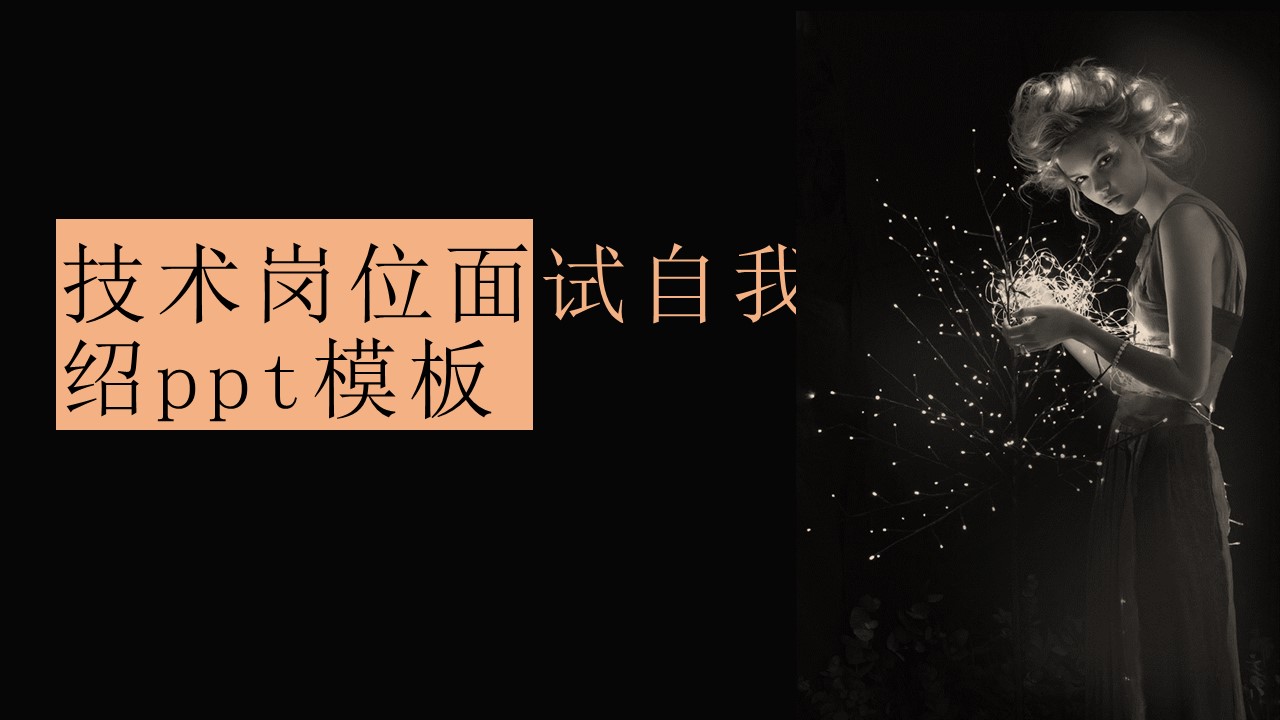 技术岗位面试自我介绍ppt模板