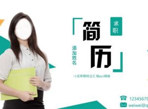 it试用期转正汇报ppt模板