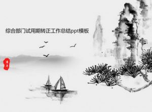 综合部门试用期转正工作总结ppt模板