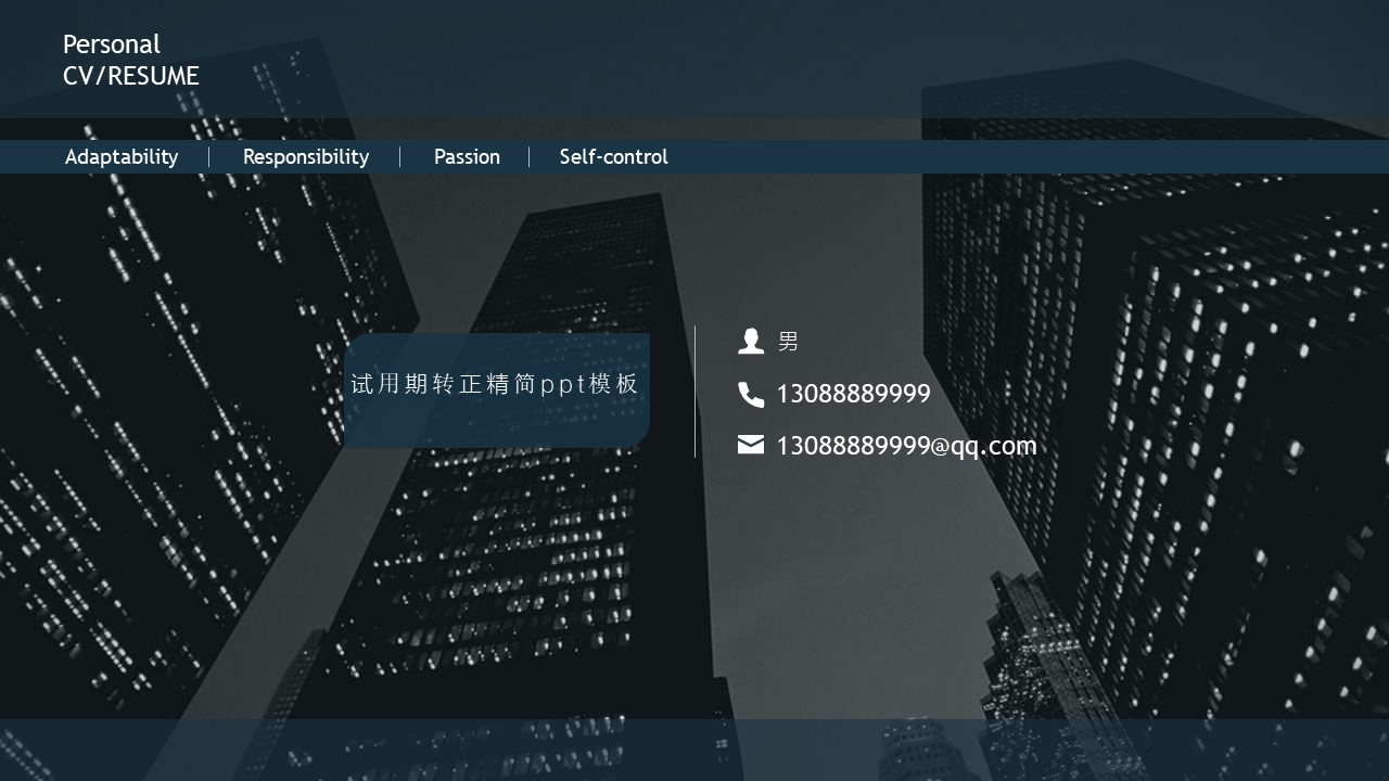 试用期转正精简ppt模板
