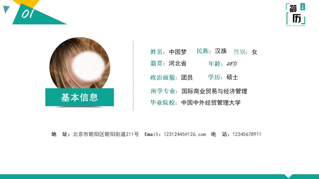 it试用期转正汇报ppt模板