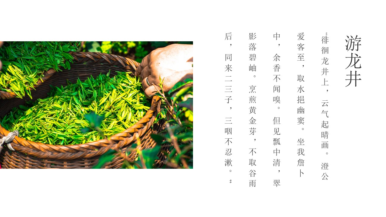欧式宫廷清新ppt模板