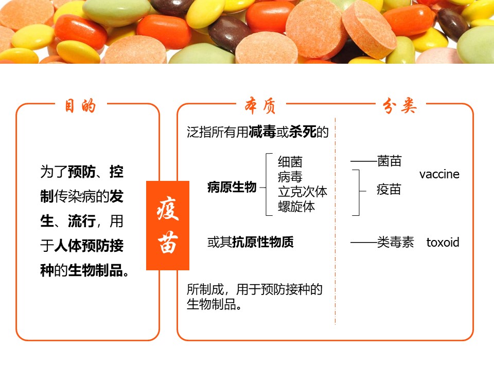 医疗护理说课ppt模板