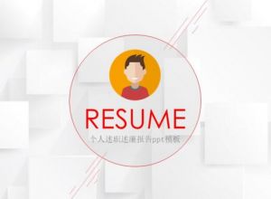 个人述职述廉报告ppt模板