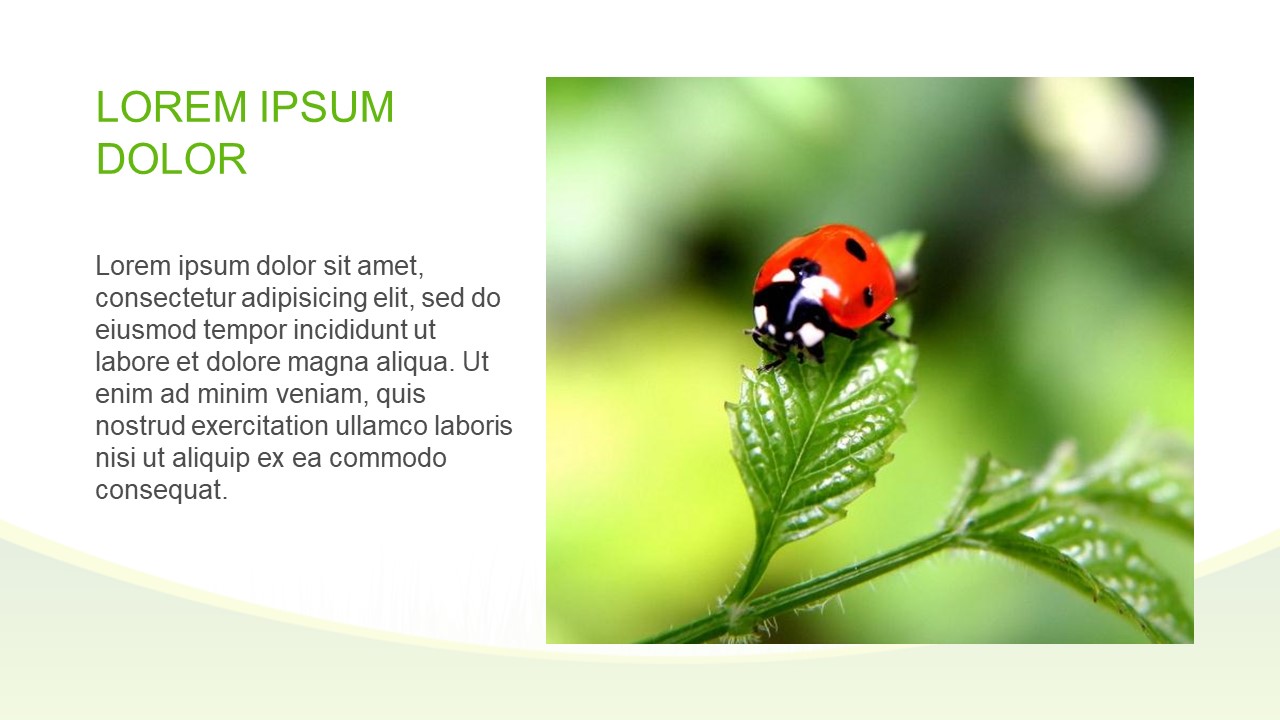 保护环境社会实践ppt模板