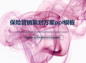 保险营销策划方案ppt模板