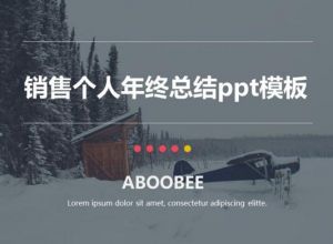 销售个人年终总结ppt模板