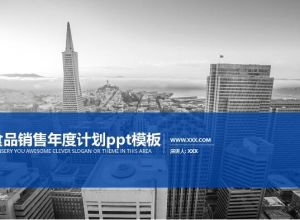 食品销售年度计划ppt模板