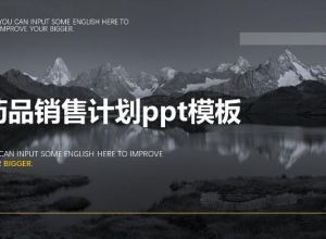 药品销售计划ppt模板