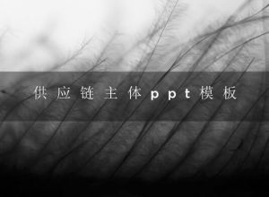 供应链主体ppt模板
