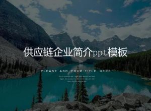 供应链企业简介ppt模板