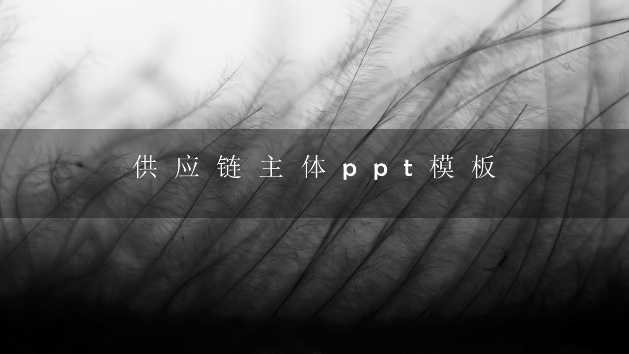 供应链主体ppt模板