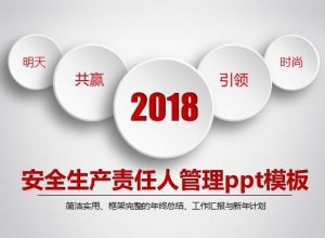 安全生产责任人管理ppt模板